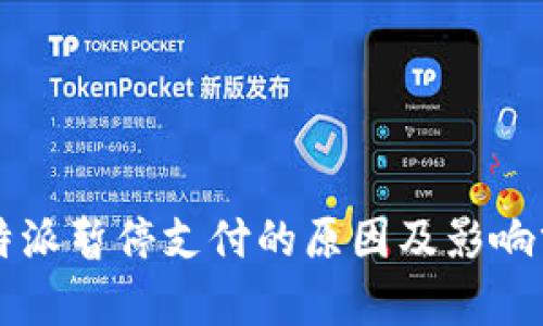 比特派暂停支付的原因及影响分析
