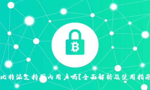 比特派支持国内用户吗？全面解析及使用指南