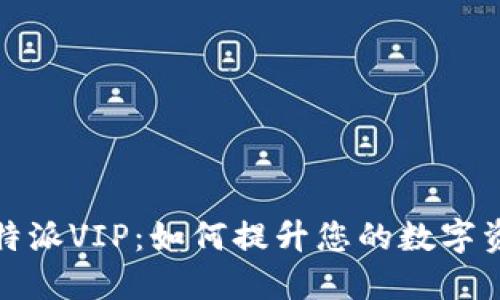 深入了解比特派VIP：如何提升您的数字资产管理体验