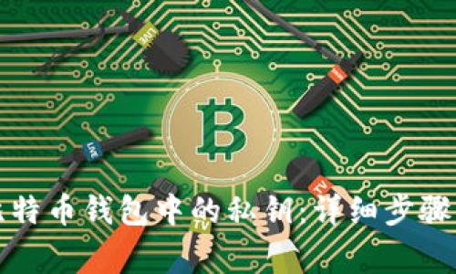 如何查看比特币钱包中的私钥：详细步骤与注意事项