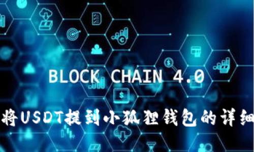 如何将USDT提到小狐狸钱包的详细指南
