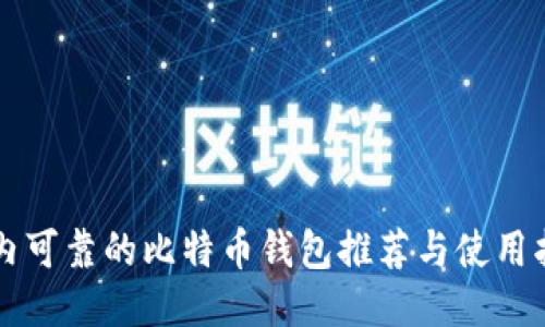国内可靠的比特币钱包推荐与使用指南
