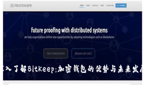 深入了解BitKeep：加密钱包的优势与未来发展