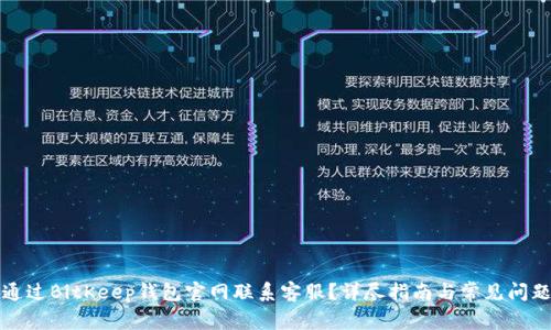 如何通过BitKeep钱包官网联系客服？详尽指南与常见问题解答