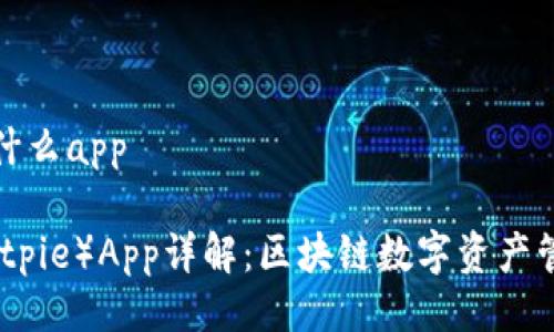 比特派是什么app

比特派（Bitpie）App详解：区块链数字资产管理新选择