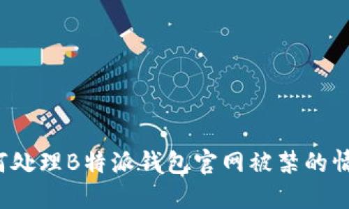 如何处理B特派钱包官网被禁的情况？