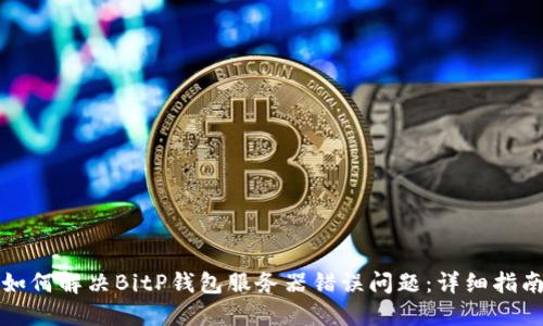 如何解决BitP钱包服务器错误问题：详细指南
