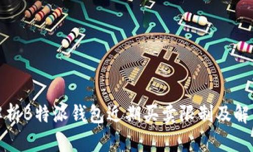 全面解析B特派钱包近期买卖限制及解决方案