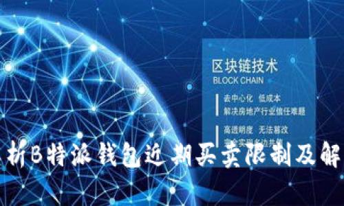 全面解析B特派钱包近期买卖限制及解决方案