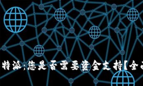 投资B特派：您是否需要资金支持？全面解析