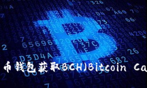 如何通过比特币钱包获取BCH（Bitcoin Cash）：全面指南