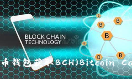 如何通过比特币钱包获取BCH（Bitcoin Cash）：全面指南