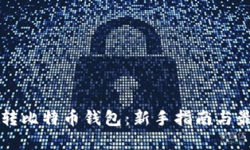 怎样玩转比特币钱包：新手指南与最佳实践