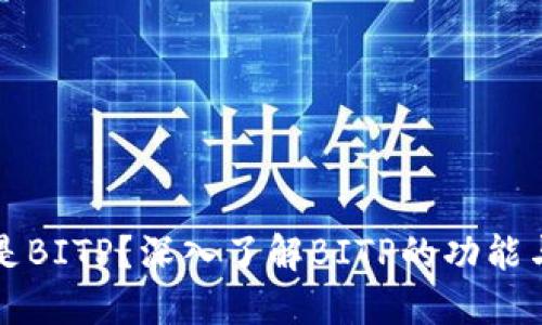 什么是BITP？深入了解BITP的功能与应用