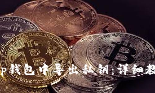 如何在BitKeep钱包中导出私钥：详细教程与注意事项
