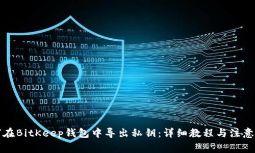 如何在BitKeep钱包中导出私钥：详细教程与注意事项