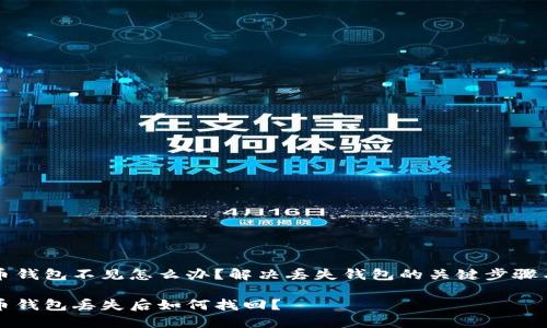 比特币钱包不见怎么办？解决丢失钱包的关键步骤与技巧

比特币钱包丢失后如何找回？