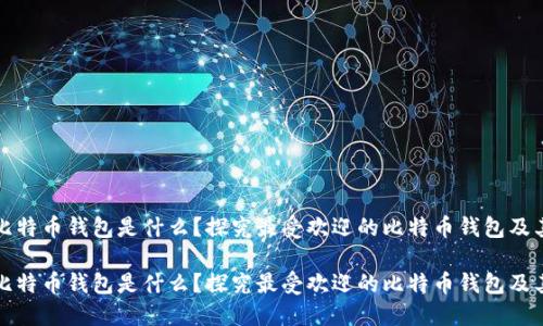 最大比特币钱包是什么？探究最受欢迎的比特币钱包及其特点

最大比特币钱包是什么？探究最受欢迎的比特币钱包及其特点