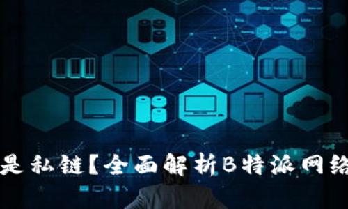 “B特派是公链还是私链？全面解析B特派网络架构与应用场景