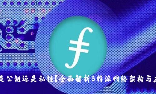 “B特派是公链还是私链？全面解析B特派网络架构与应用场景