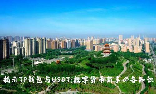 揭示TP钱包与USDT：数字货币新手必备知识
