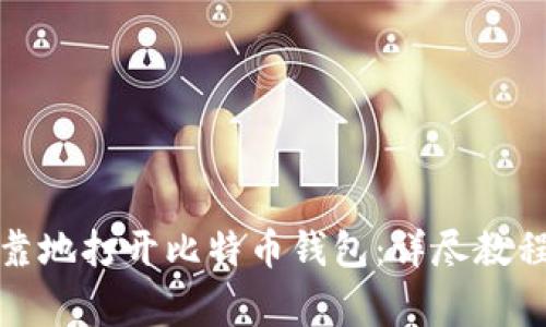 如何安全可靠地打开比特币钱包：详尽教程与注意事项