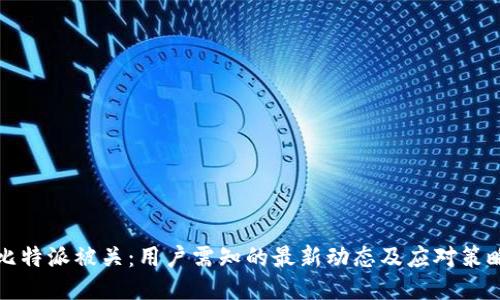 比特派被关：用户需知的最新动态及应对策略
