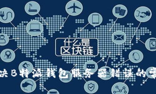 如何解决B特派钱包服务器错误的常见问题