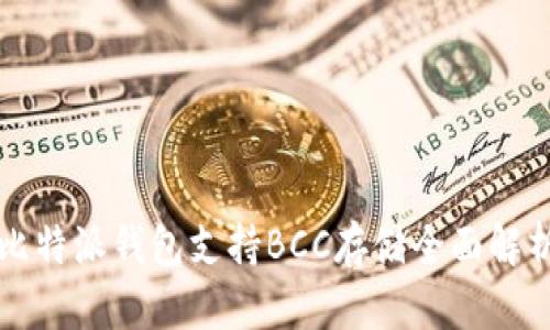 比特派钱包支持BCC存储全面解析