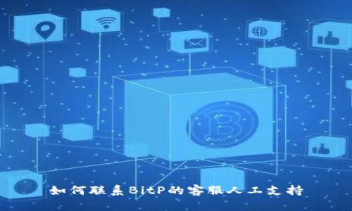 如何联系BitP的客服人工支持