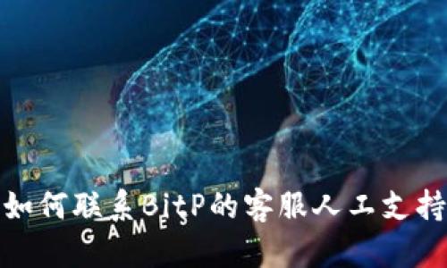 如何联系BitP的客服人工支持