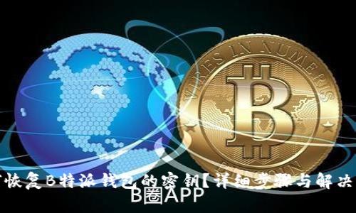 如何恢复B特派钱包的密钥？详细步骤与解决方案