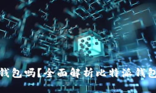 : 比特派钱包能做冷钱包吗？全面解析比特派钱包的安全性与使用方法