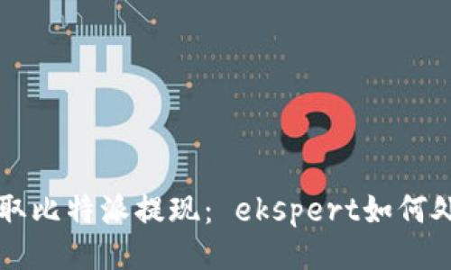 如何顺利提取比特派提现： ekspert如何处理提现照片