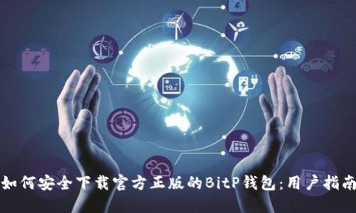如何安全下载官方正版的BitP钱包：用户指南