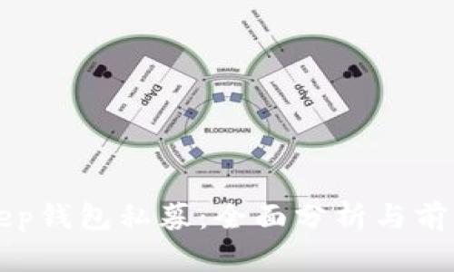 Bitkeep钱包私募：全面分析与前景展望