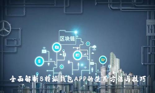 全面解析B特派钱包APP的使用方法与技巧