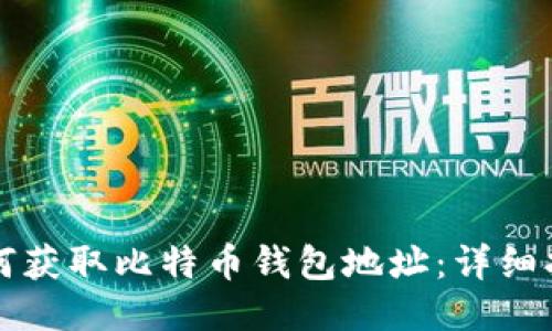 如何获取比特币钱包地址：详细指南