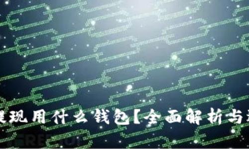 比特币提现用什么钱包？全面解析与选择指南