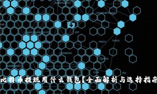 比特币提现用什么钱包？全面解析与选择指南