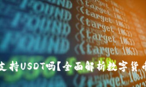比太冷钱包支持USDT吗？全面解析数字货币钱包的功能