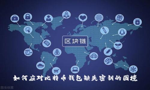 如何应对比特币钱包缺失密钥的困境