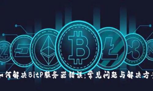 如何解决BitP服务器错误：常见问题与解决方案
