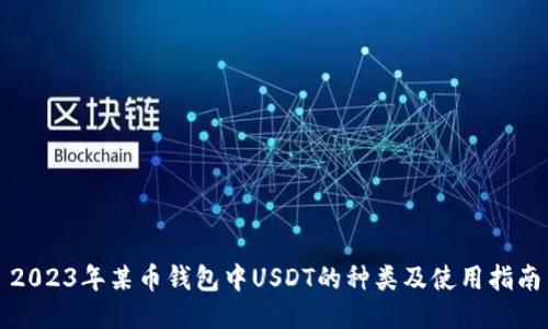 2023年某币钱包中USDT的种类及使用指南