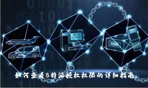 如何查看B特派授权权限的详细指南