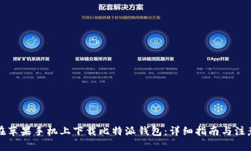 如何在苹果手机上下载比特派钱包：详细指南与注意事项