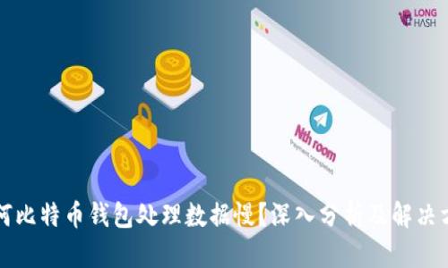 为何比特币钱包处理数据慢？深入分析及解决方案