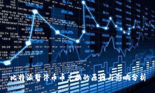 比特派暂停币币兑换的原因与影响分析