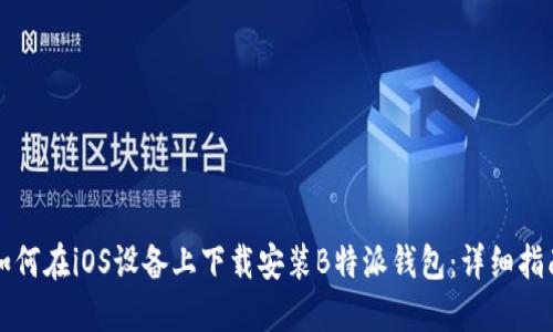 如何在iOS设备上下载安装B特派钱包：详细指南