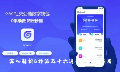 深入解析B特派及十六进制字符的应用